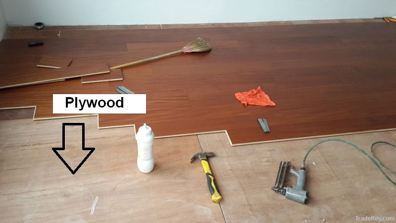 common plywood and decorative plywood
