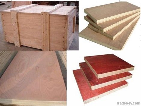 Best price okoume/bingtangor/pencil cedar/red hardwood commercial plyw