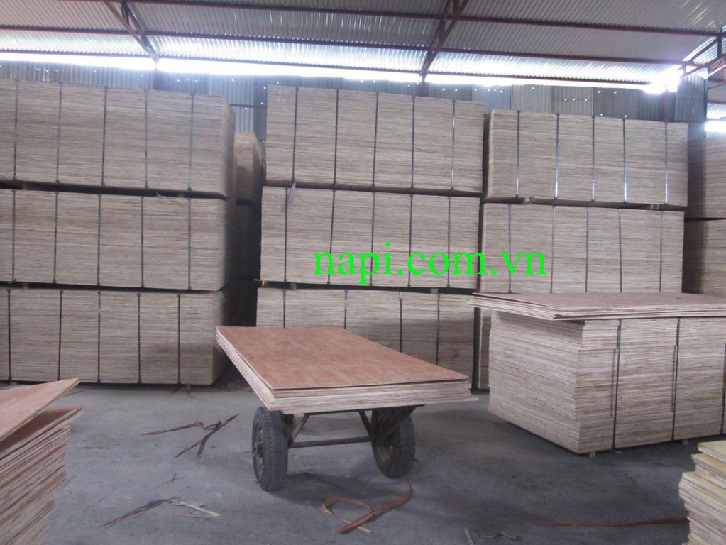 Vietnam Two Times Press Plywood for Japan Market