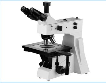 Upright Metallurgical Microscope JXL-300/300BD