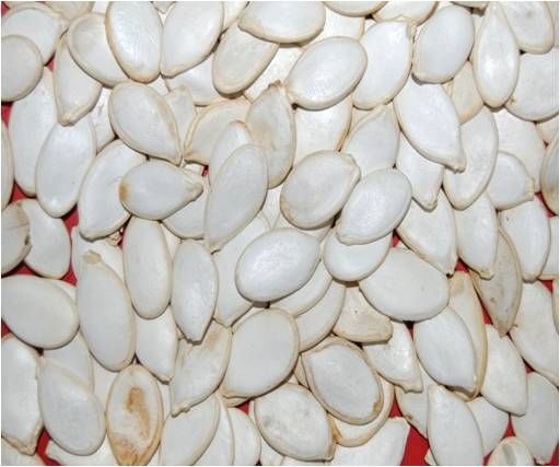 Snow white pumpkin seeds, PUMPKIN SEED GROWN WITHOUT SHELL GRADE,roasted pumpkin seedsE AA