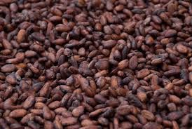 Cocoa Beans 