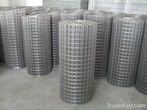 electrical galvanized welded wire mesh