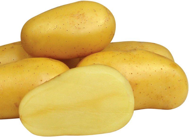 Fresh Potatoes (High Quality)