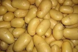 Fresh Potatoes (High Quality)