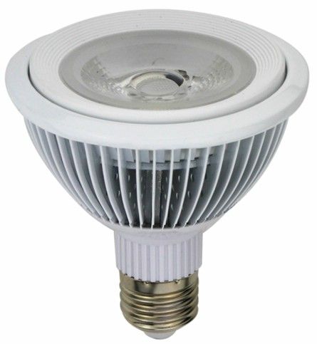LED Par 20/Par 30/Par38 spotlight supplier