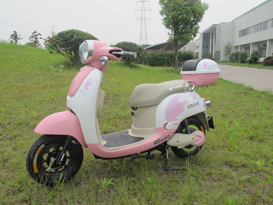 Electric Scooter Of Long Running Distance (KDM1208Z )