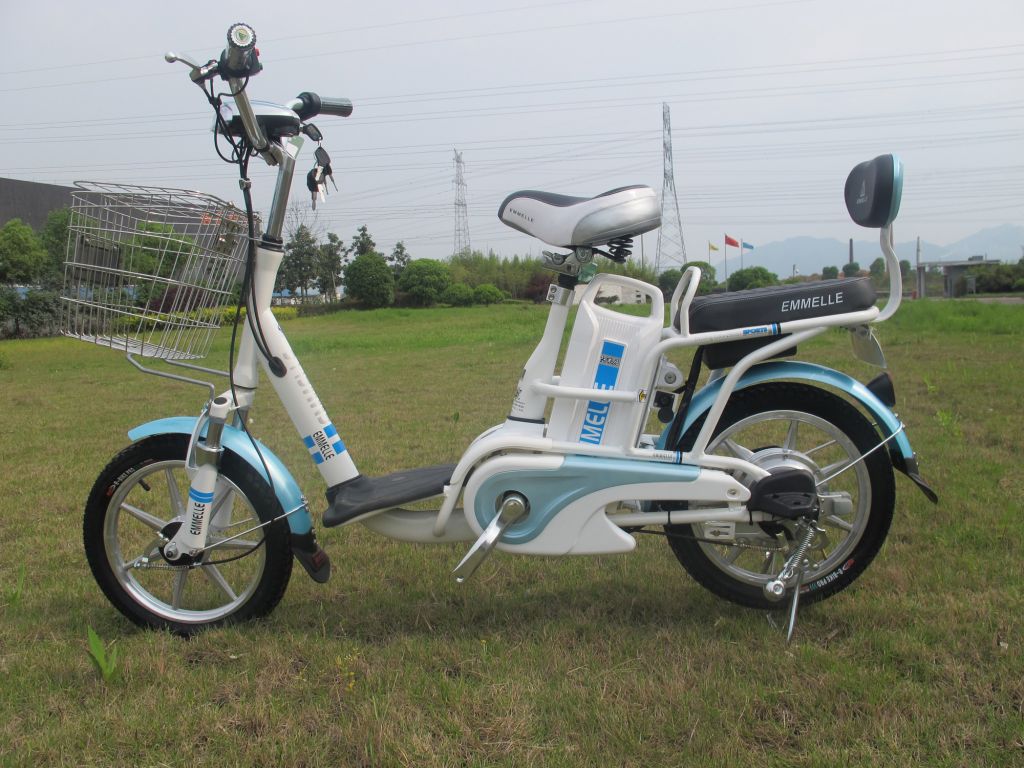 48V Lithium Electric Bicycle 