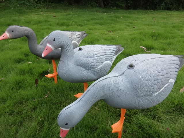 XY wholesale XPE Foam Grey lag goose decoy for hunting 