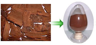 Pygeum Bark Extract