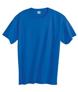 HiDENSI-T&Atilde;‚&Acirc;&reg; Adult T-Shirt