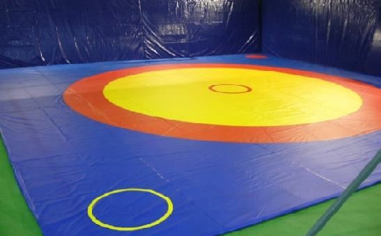 Wrestling Mat