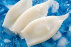 Frozen Squid Tube Iqf