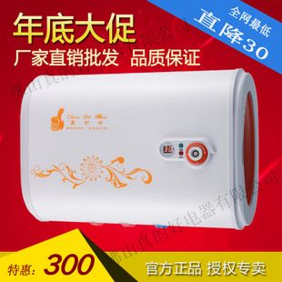 electric water heater cheap double gall