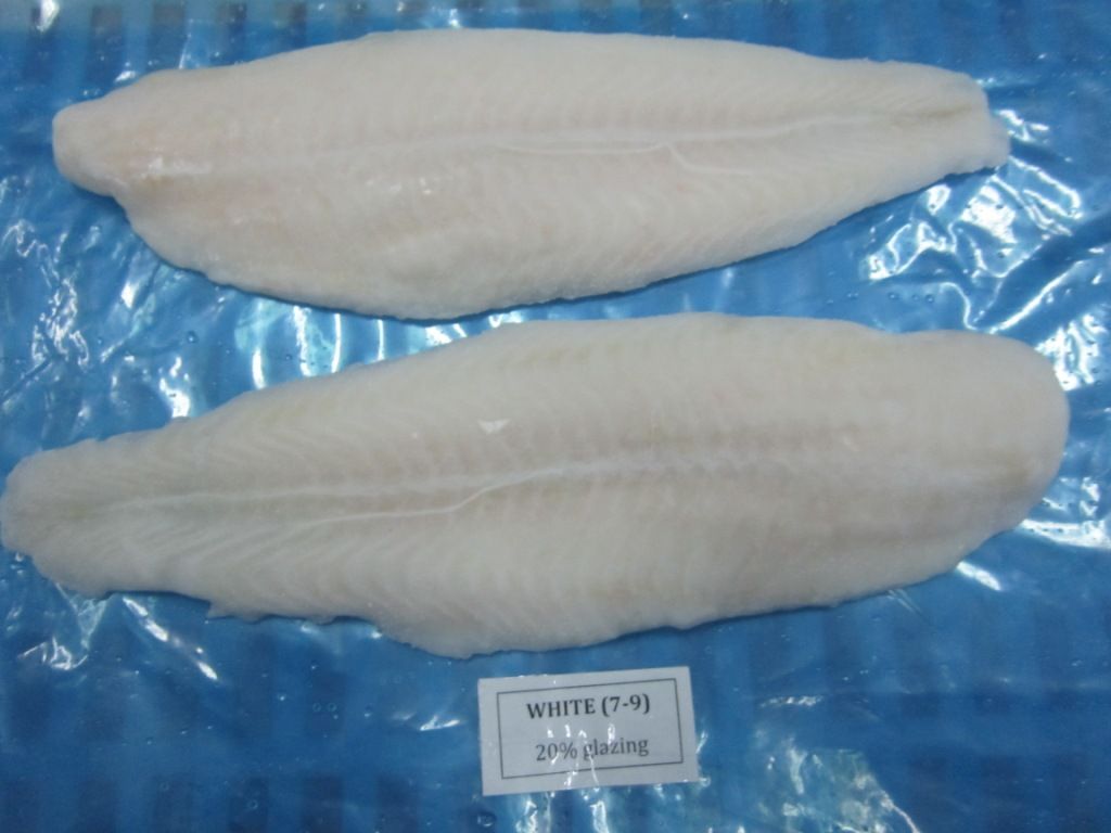 Frozen Pangasius Fillet