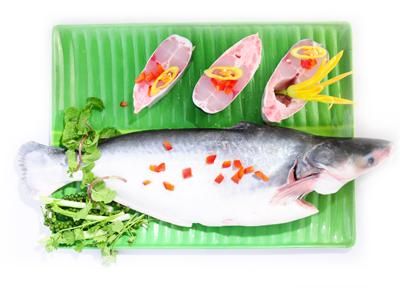 Frozen Pangasius HGT