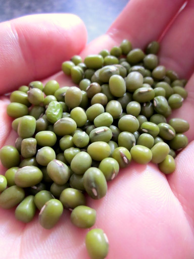 Green Mung Beans