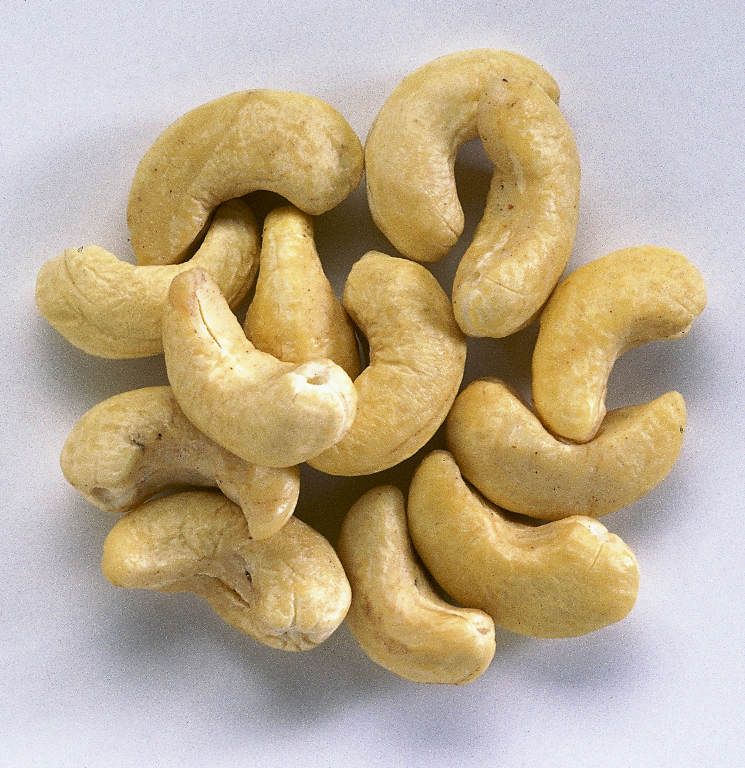 Vietnam Cashew nuts , whole cashew nut , broken cashew nut