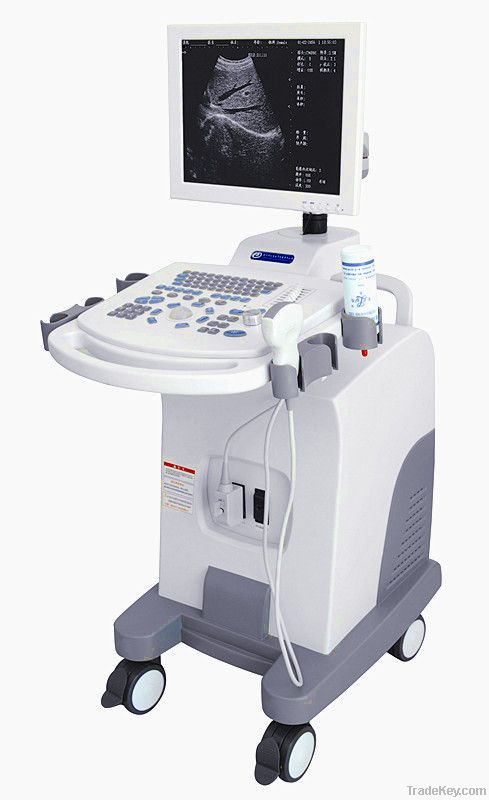 ultrasound scan machine with 15inch LED monitor DW3101A