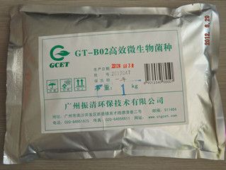 GT-B02 Environment purification special strain