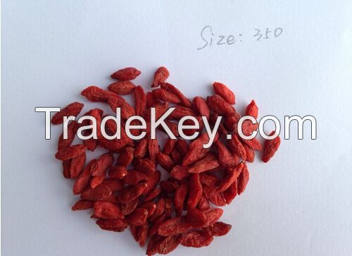 New crop dried Ningxia goji berry