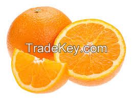 Navel Oranges and Valencia Oranges