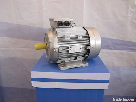 electric motor