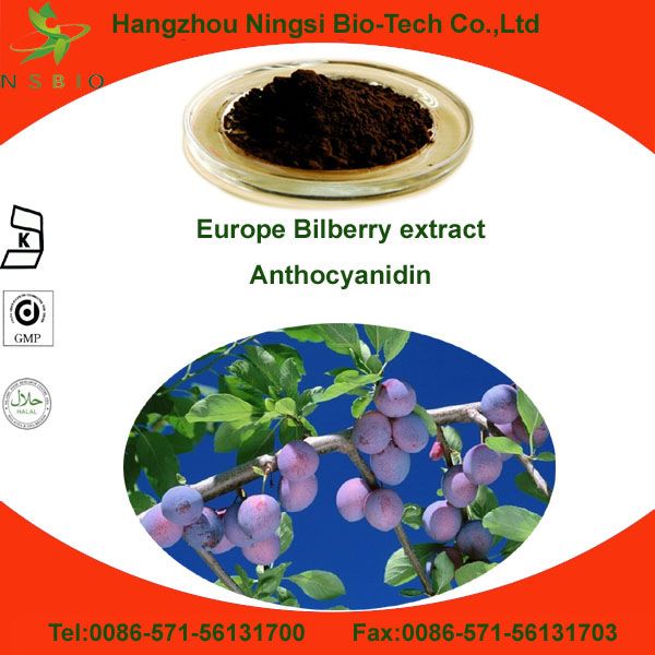 Europe Bilberry extract