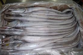 frozen ribbon fish