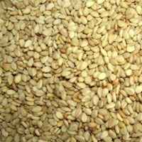 sell sesame seeds