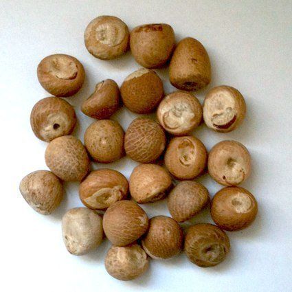 Whole and Split Betel Nuts