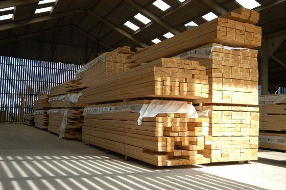 Sapele timber wood and Logs