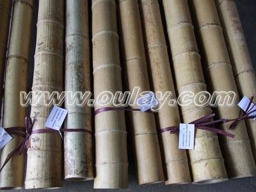 Natural bamboo poles CHEAP