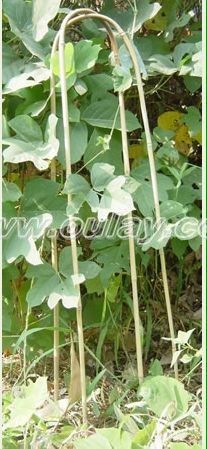 Bamboo stakes u shape