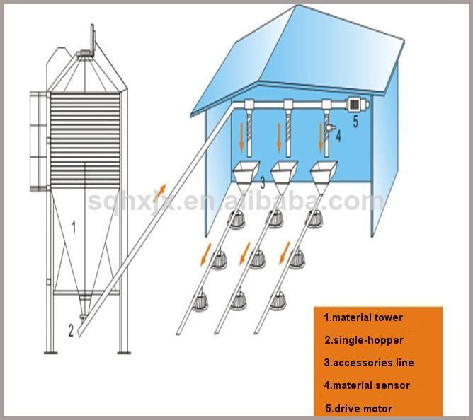 poultry automatic feeding system