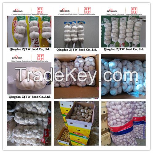 jinxiang fresh garlic 2014 crop