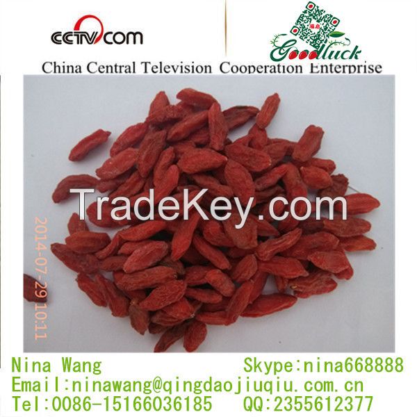 dried goji berry from Ningxia