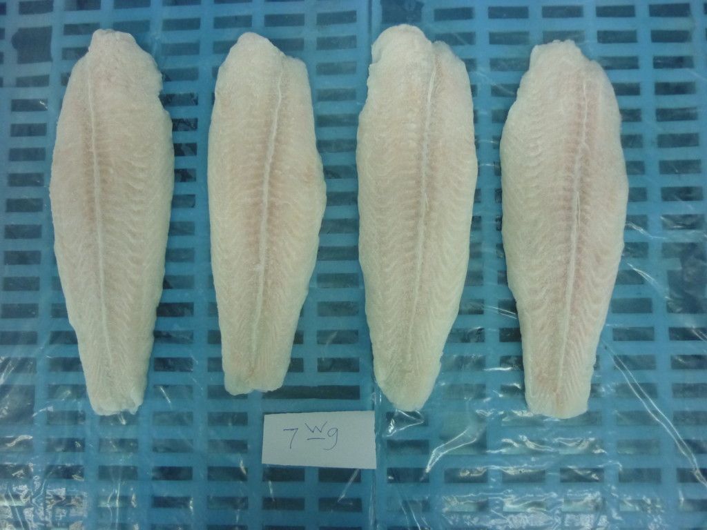 Pangasius Fillet