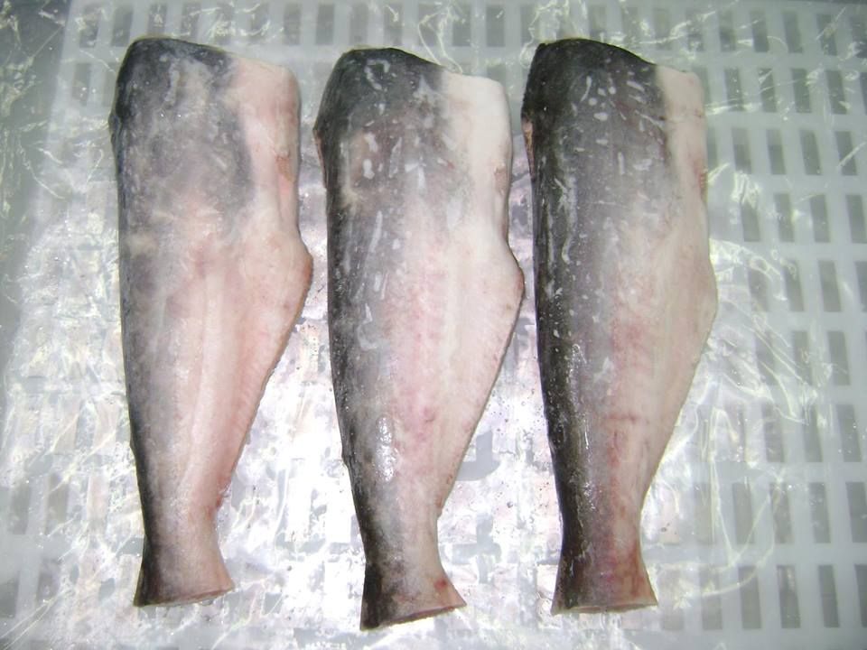 Pangasius Whole