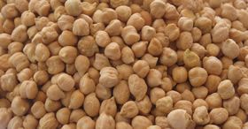 Kabuli Chickpeas 