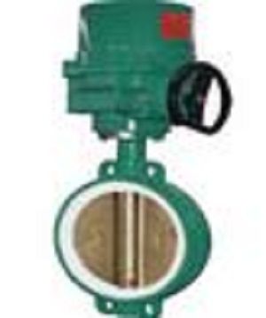 Lined Butterfly Valve