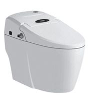 Toilet MD38621