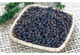 black pepper 500g/l 550g/l 570 g/l