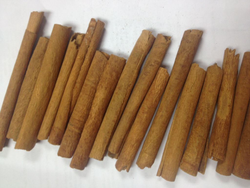 Cassia Cinnamon High Quality with Good Price