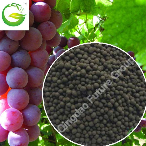 Agriculture Organic Humic Acid  Granular for Soil
