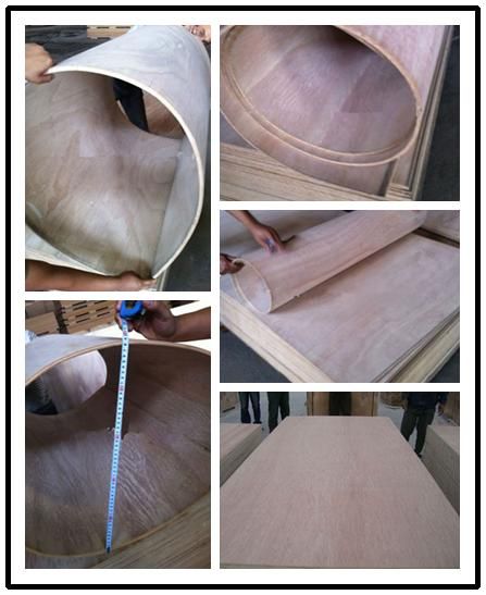 Hot Commercial Plywood Flexible Plywood/Bending Plywood