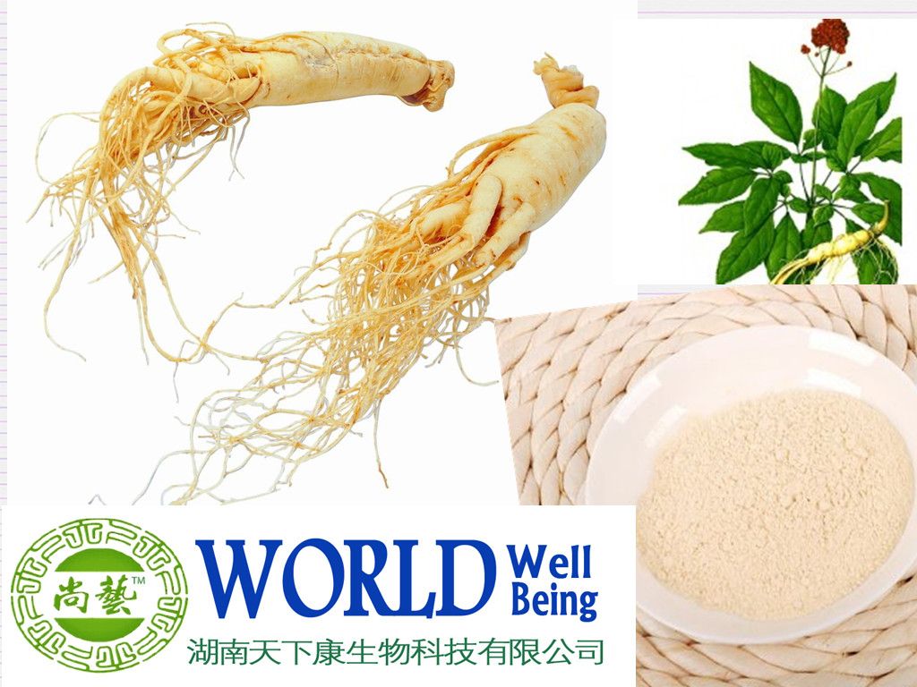 Ginseng Root Extract Powder With UV 4%-80% Ginsenoside