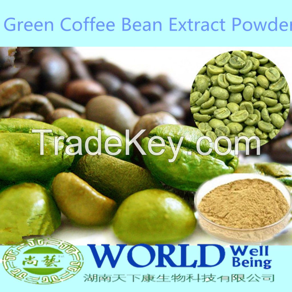 Pure Green Coffee Bean Extract Powder With Chlorogenic Acids
