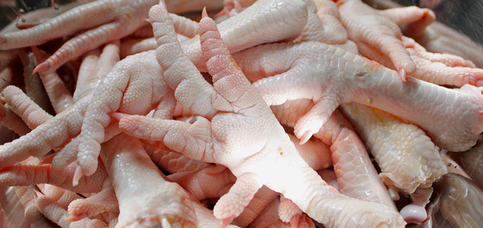 Halal Frozen Chicken Paws, CHICKEN WINGS, CHICKEN LEG QUARTERS and FROZEN CHICKEN FEET