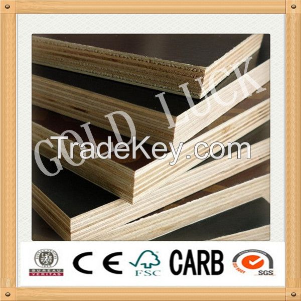 SHUTTERING PLYWOOD FOR CONSTRUCTION